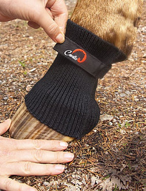 Cavallo Comfort Sleeve