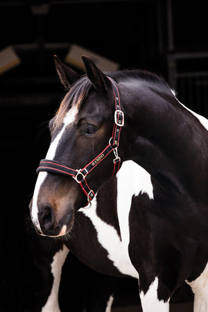 Horseware Rambo Padded Halter