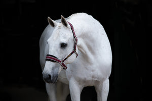 Horseware Rambo Padded Halter
