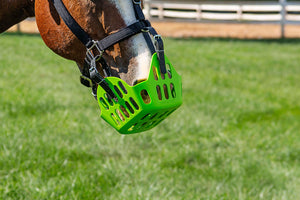 Green Guard Muzzle