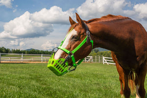 Green Guard Muzzle