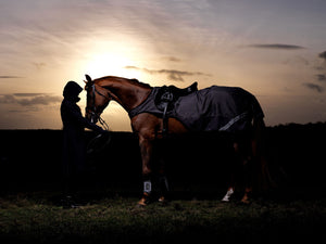 Horseware Amigo Reflectech Quarter Sheet
