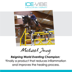 Horseware Ice Vibe Boots