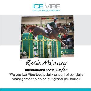 Horseware Ice Vibe Boots
