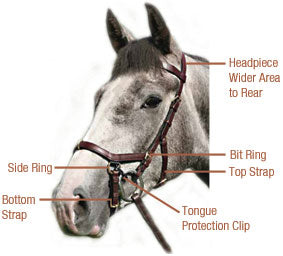 Horseware Rambo Micklem MultiBridle with Reins