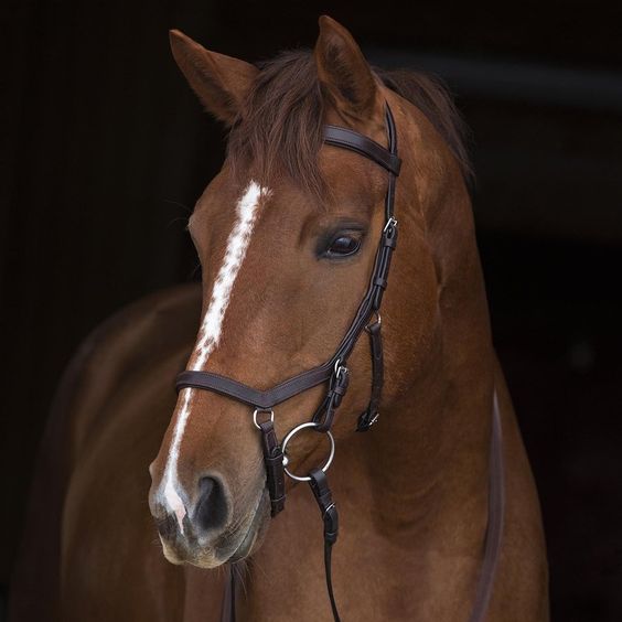 Horseware Rambo Micklem Competition Bridle With Reins