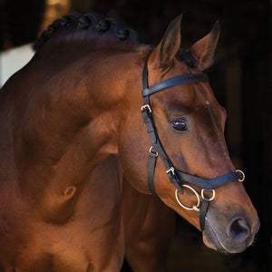 Horseware Rambo Micklem MultiBridle with Reins