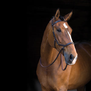 Horseware Rambo Micklem MultiBridle with Reins