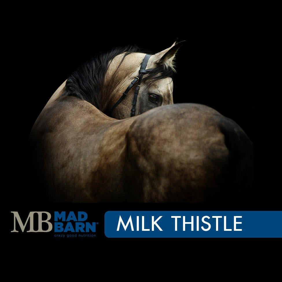 Mad Barn Milk Thistle