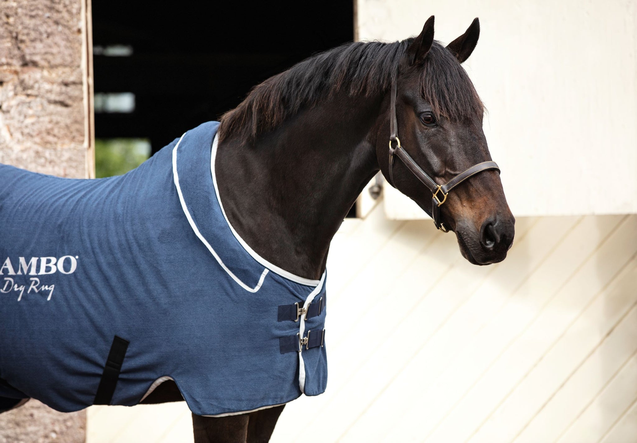 Horseware Rambo Dry Rug - Summerside Tack and Equestrian Wear