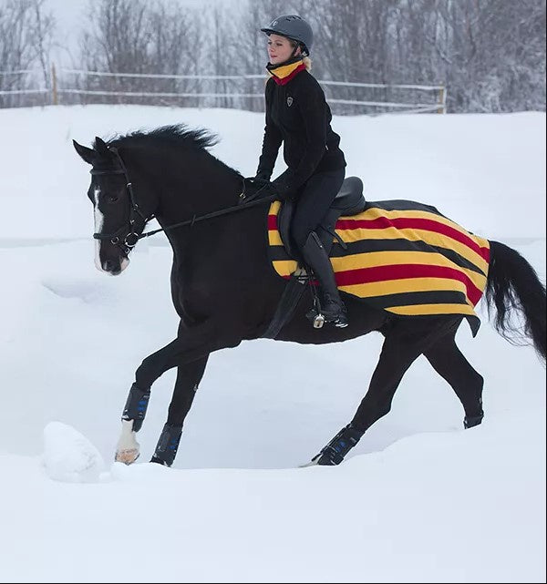 Horseware Rambo No Fill Competition Sheet
