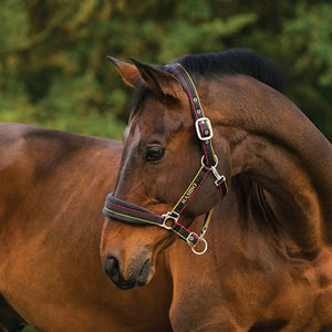Horseware Rambo Padded Halter