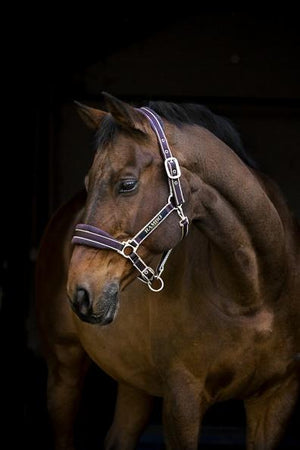 Horseware Rambo Padded Halter