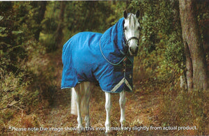 Horseware Rhino Plus Turnout 100g