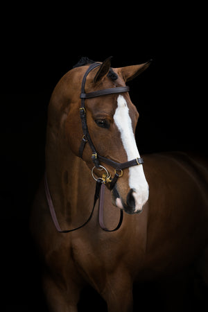 Horseware Rambo Micklem MultiBridle with Reins