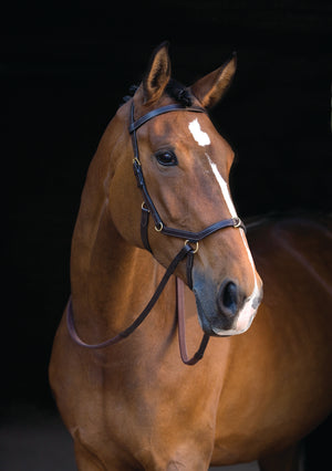 Horseware Rambo Micklem MultiBridle with Reins