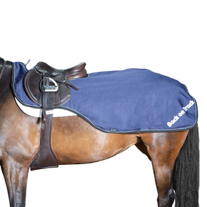 Back on Track Sammy Exercise Rug