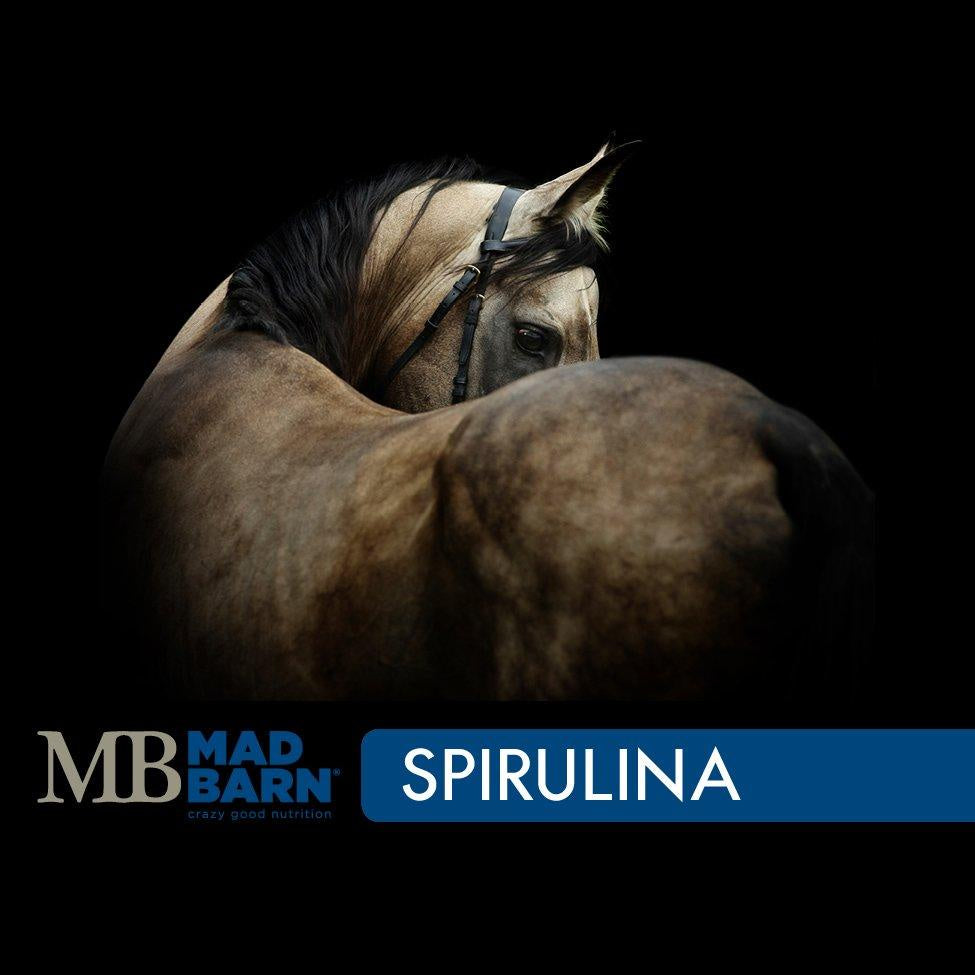 Mad Barn Spirulina
