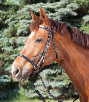 Waldhausen Star 2 Bitless Bridle