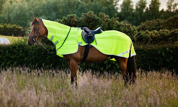 Amigo Fly Rider - Summerside Tack and Equestrian Wear