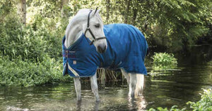Horseware Rhino Plus Turnout 100g
