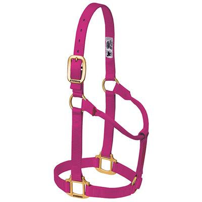 Weaver Non-Adjustable Nylon Halters