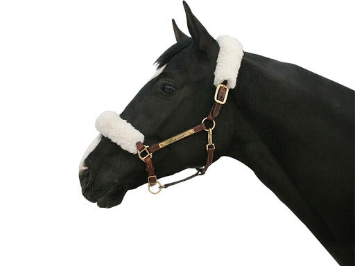 Back on Track Halter Covers