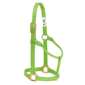 Weaver Non-Adjustable Nylon Halters