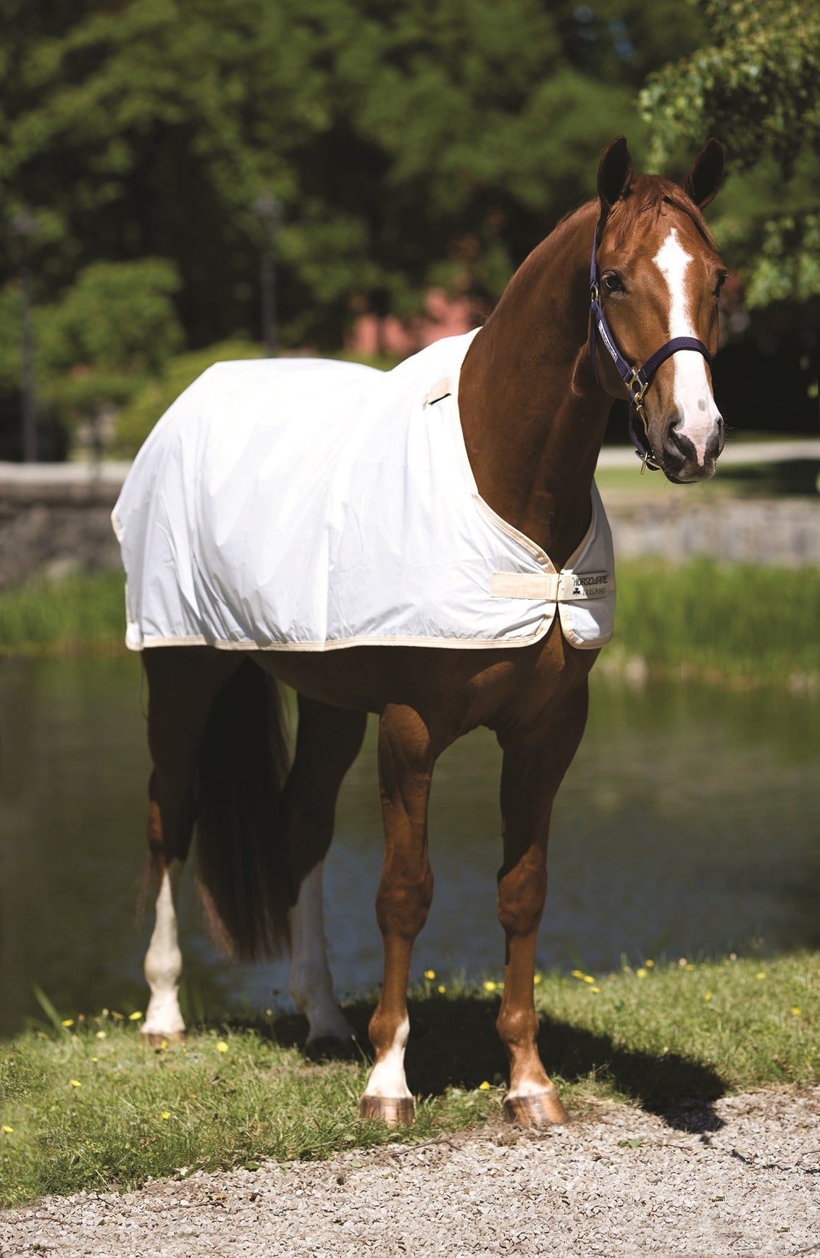 Horseware Waterproof Fly Blanket Liner