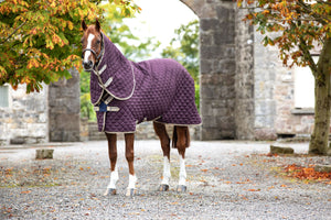 Horseware Amigo Plus Disc Front Stable Rug 200g