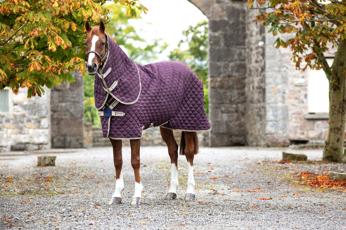 Horseware Amigo Plus Disc Front Stable Rug 200g