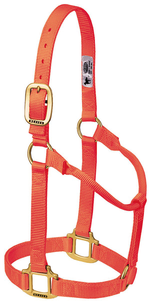 Weaver Non-Adjustable Nylon Halters